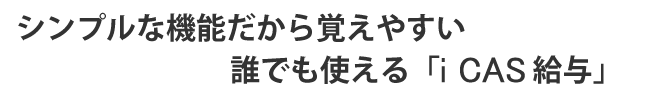 シンプルだから覚えやすい、誰でも使える「iCAS会計」