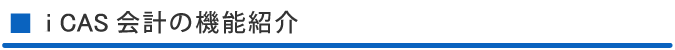 iCAS会計の機能紹介